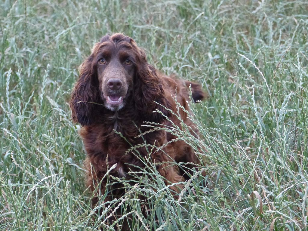Myrtille du Hameau de Crecques