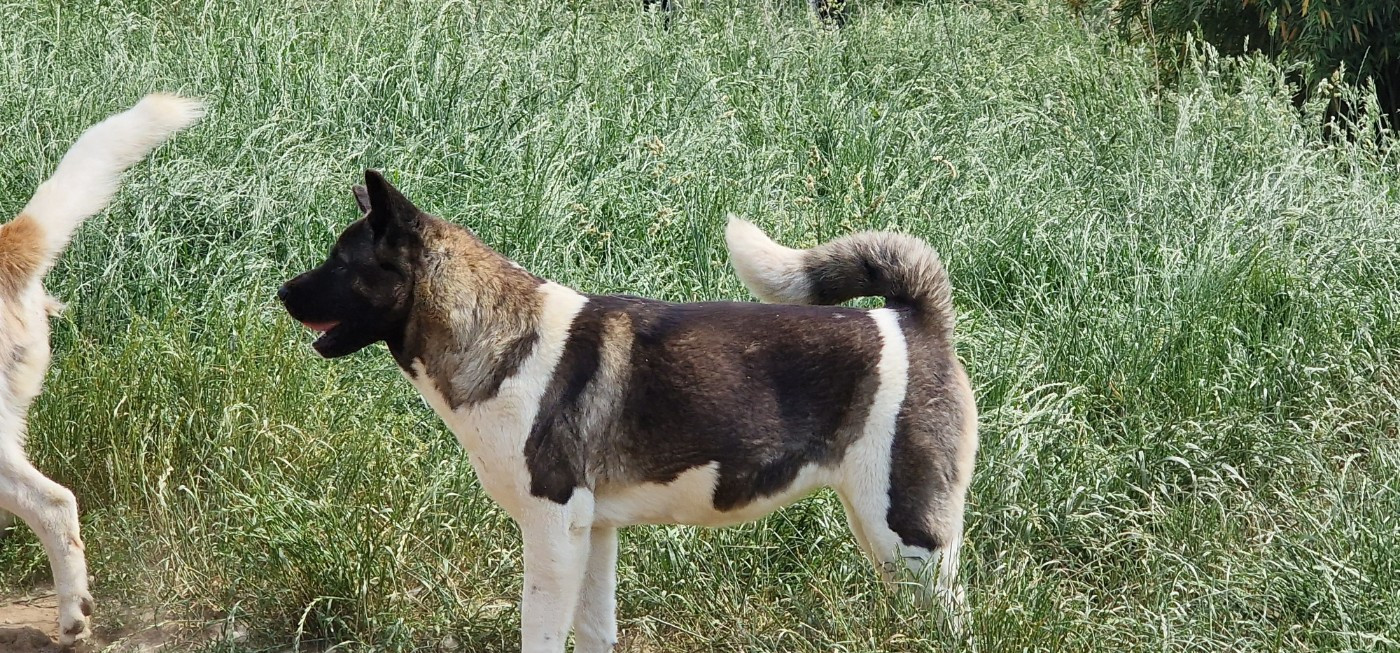 Raelley (Sans Affixe)